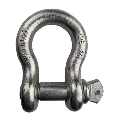 ISO9001 Durable D Shackle Śruba sworznia typu Heavy Duty ze stali nierdzewnej